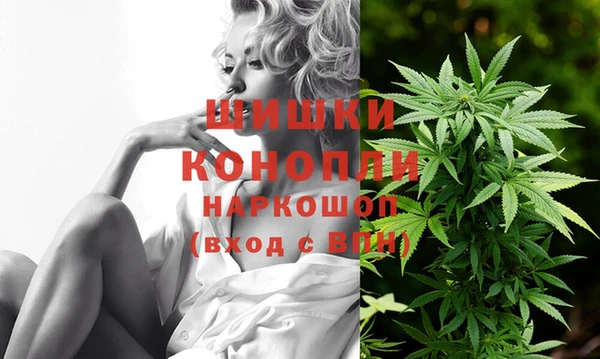spice Покровск