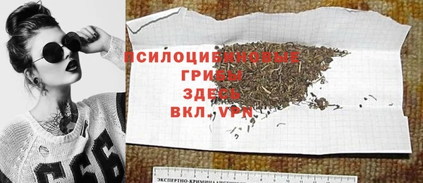 дживик Покачи